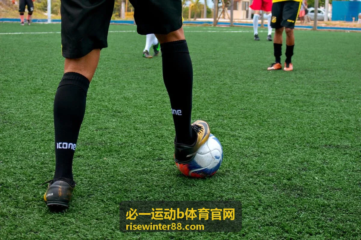 必一运动b体育官网运动知识体系